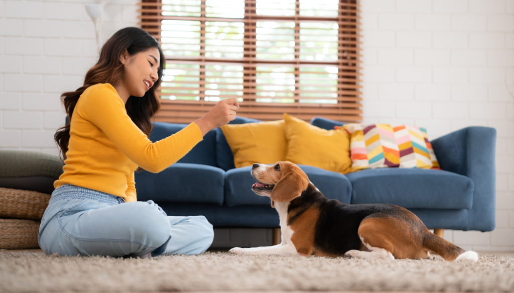 Dog Separation Anxiety When One Person Leaves - Training in house